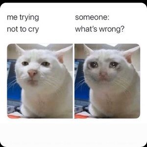 Meet your Posher, Katelyn